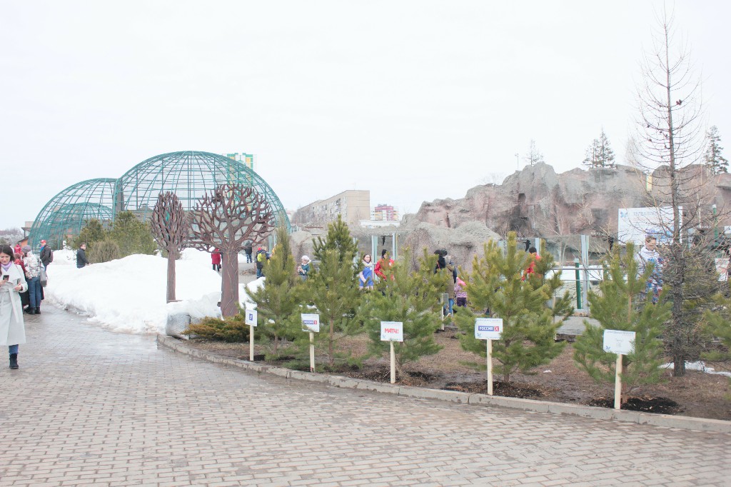 ������� ��������IMG_7638.jpg